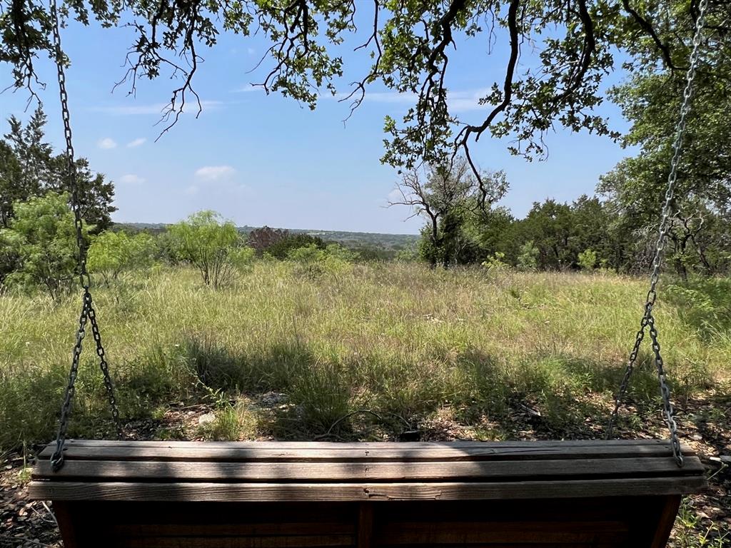 a view of tree sitting in a backyard