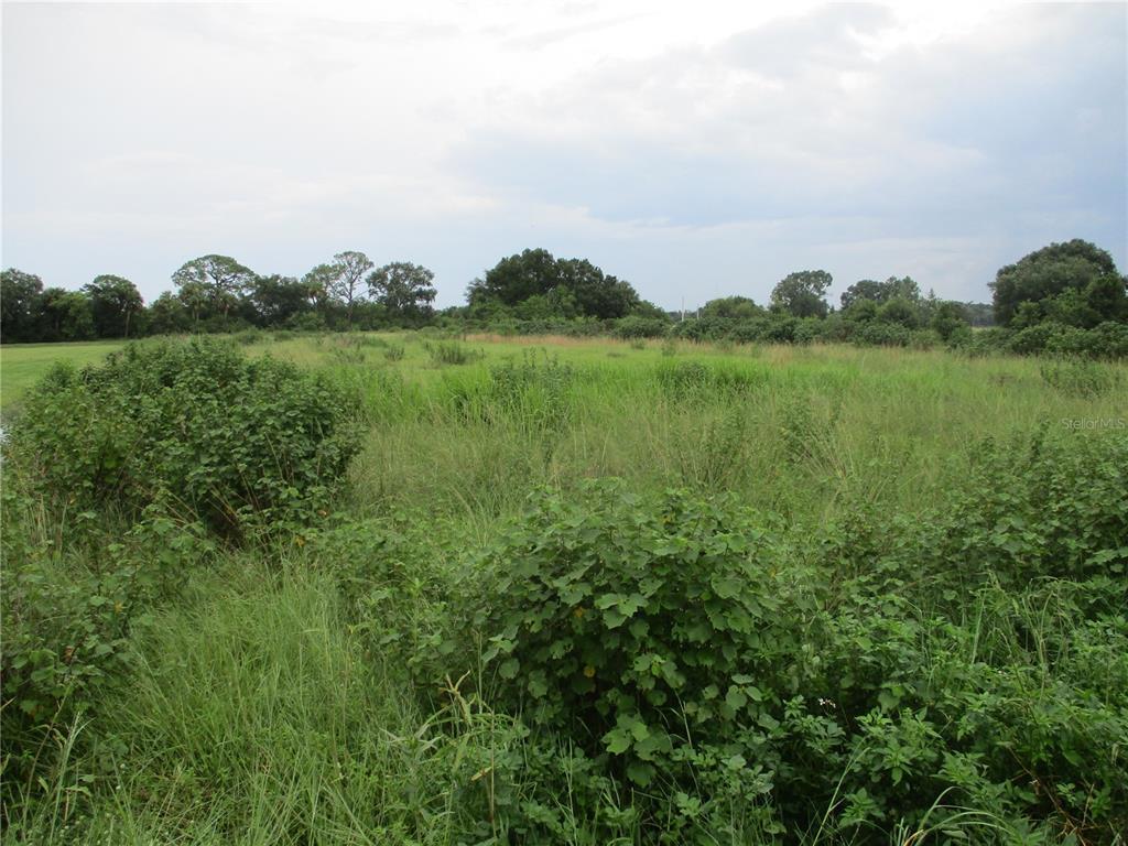 a view of a lake and green valley