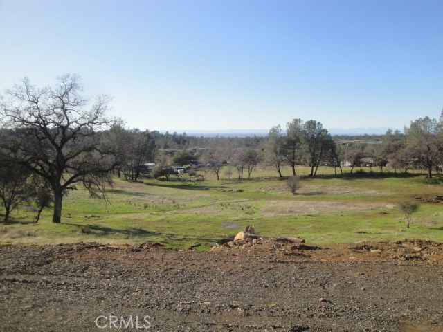 a view of a field with an ocean