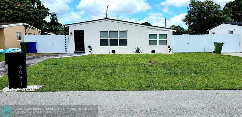 a view of a white house with a small yard plants and a large tree