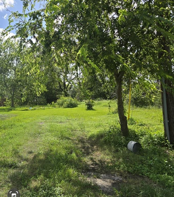 a view of outdoor space with deck and yard