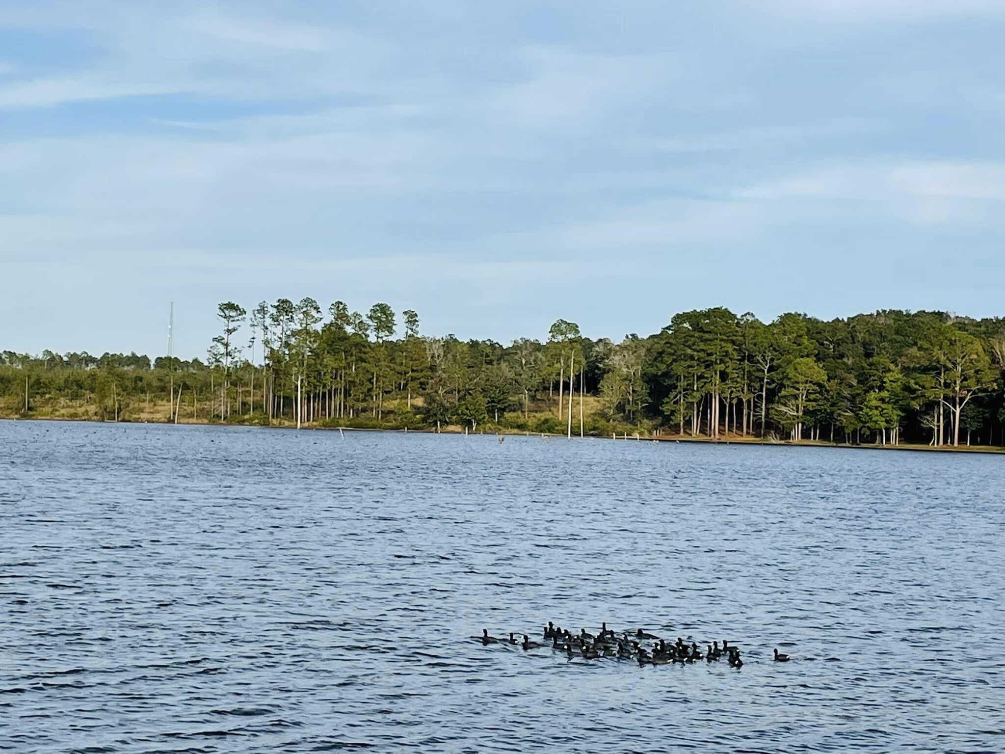 a view of lake