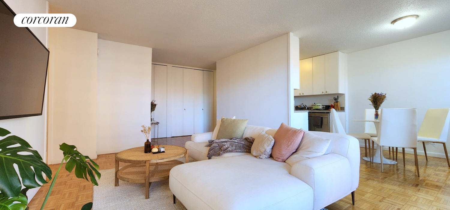 a living room with furniture and a potted plant