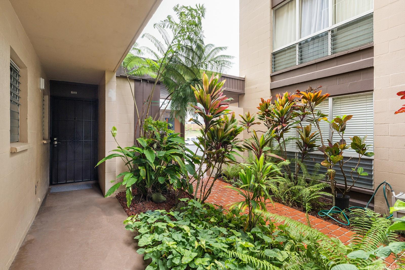 a plant is in front of a house