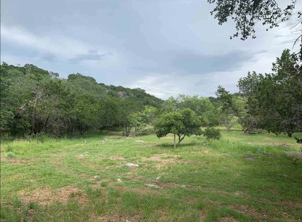 a view of outdoor space and yard