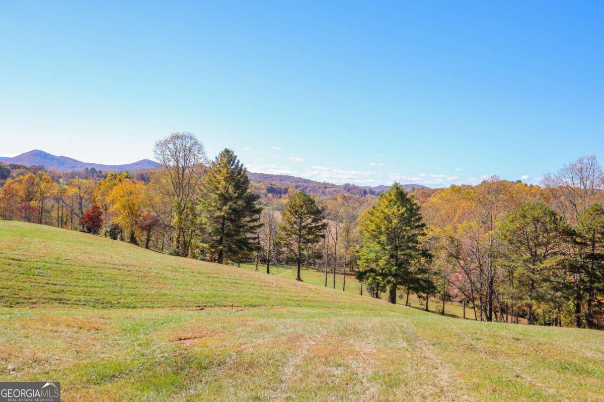 a view of a field with mountains in the background