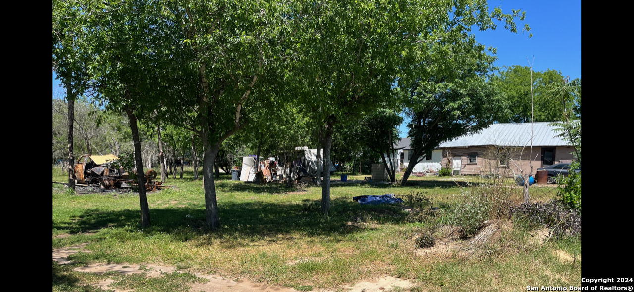 a view of a park with a tree