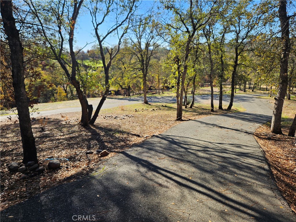 a view of a yard with trees