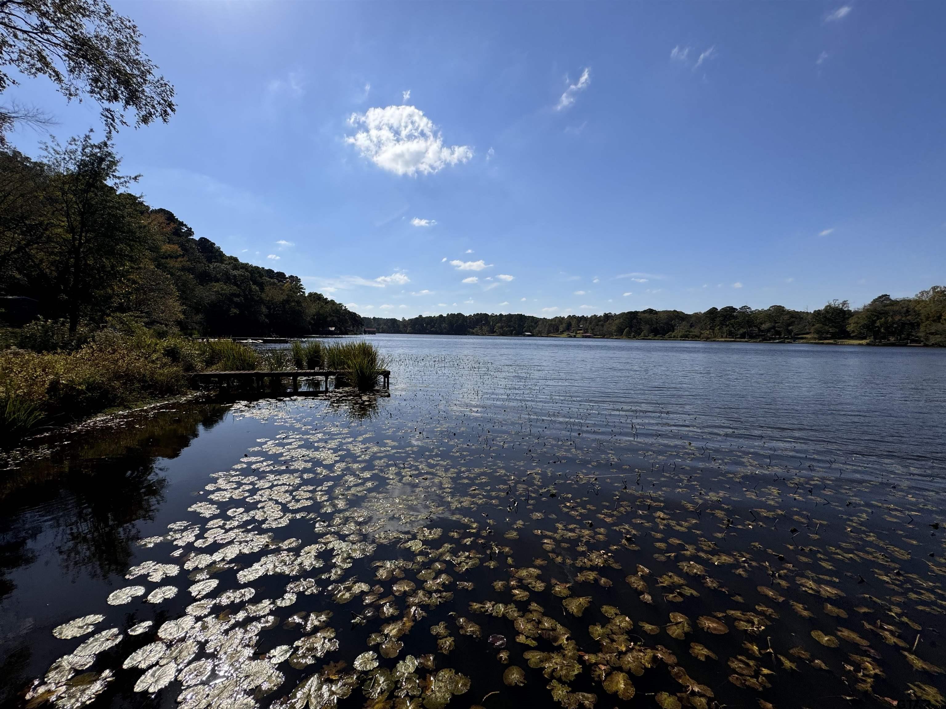 a view of a lake with a outdoor space