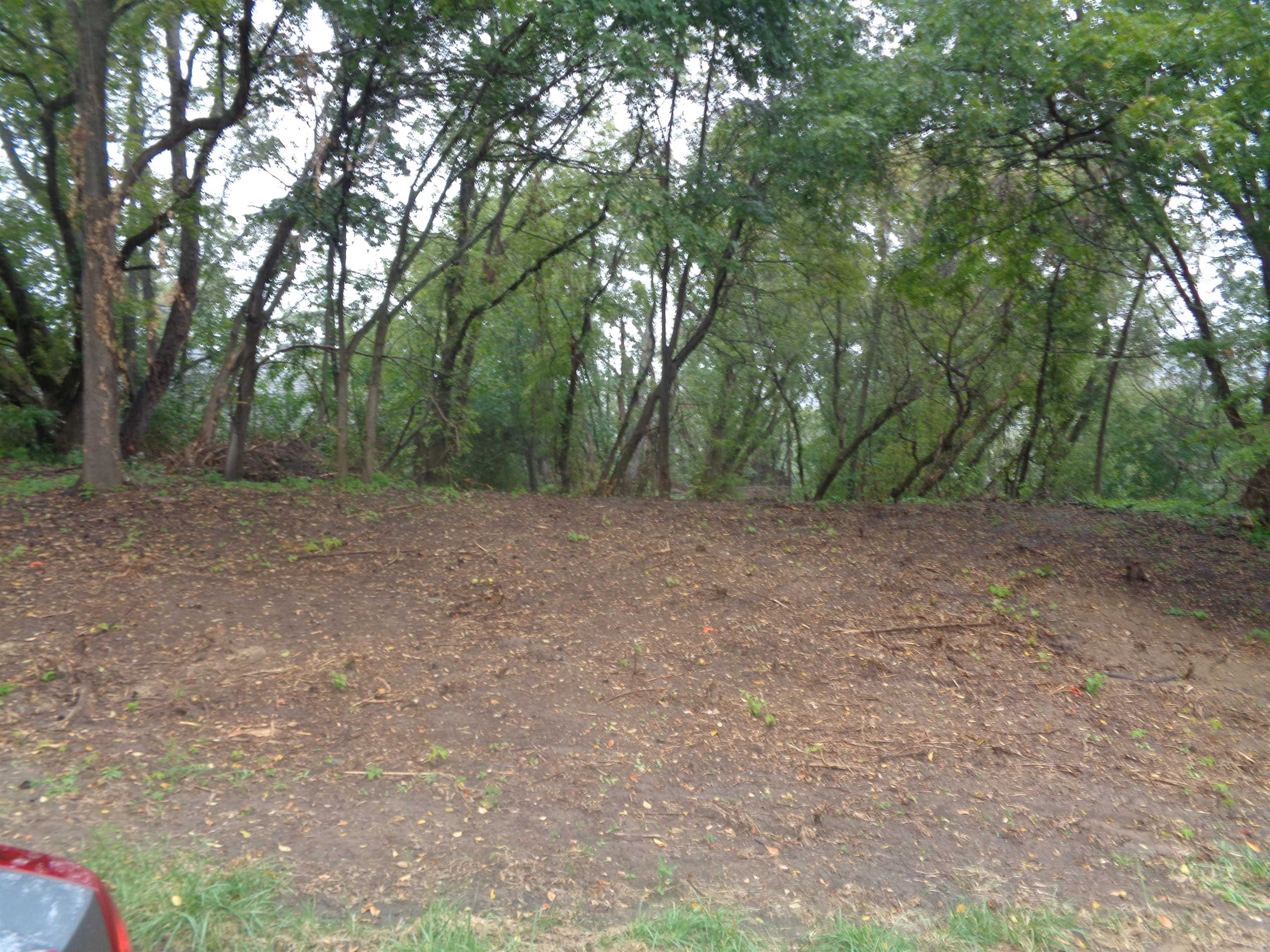 a view of outdoor space with trees