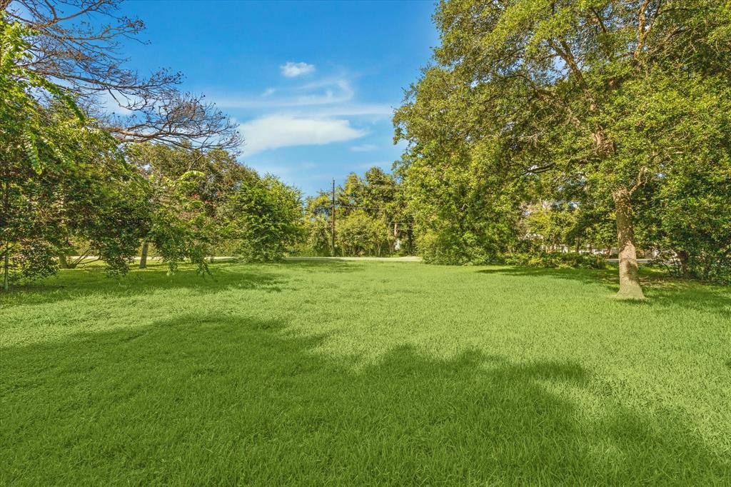 a view of yard with green space