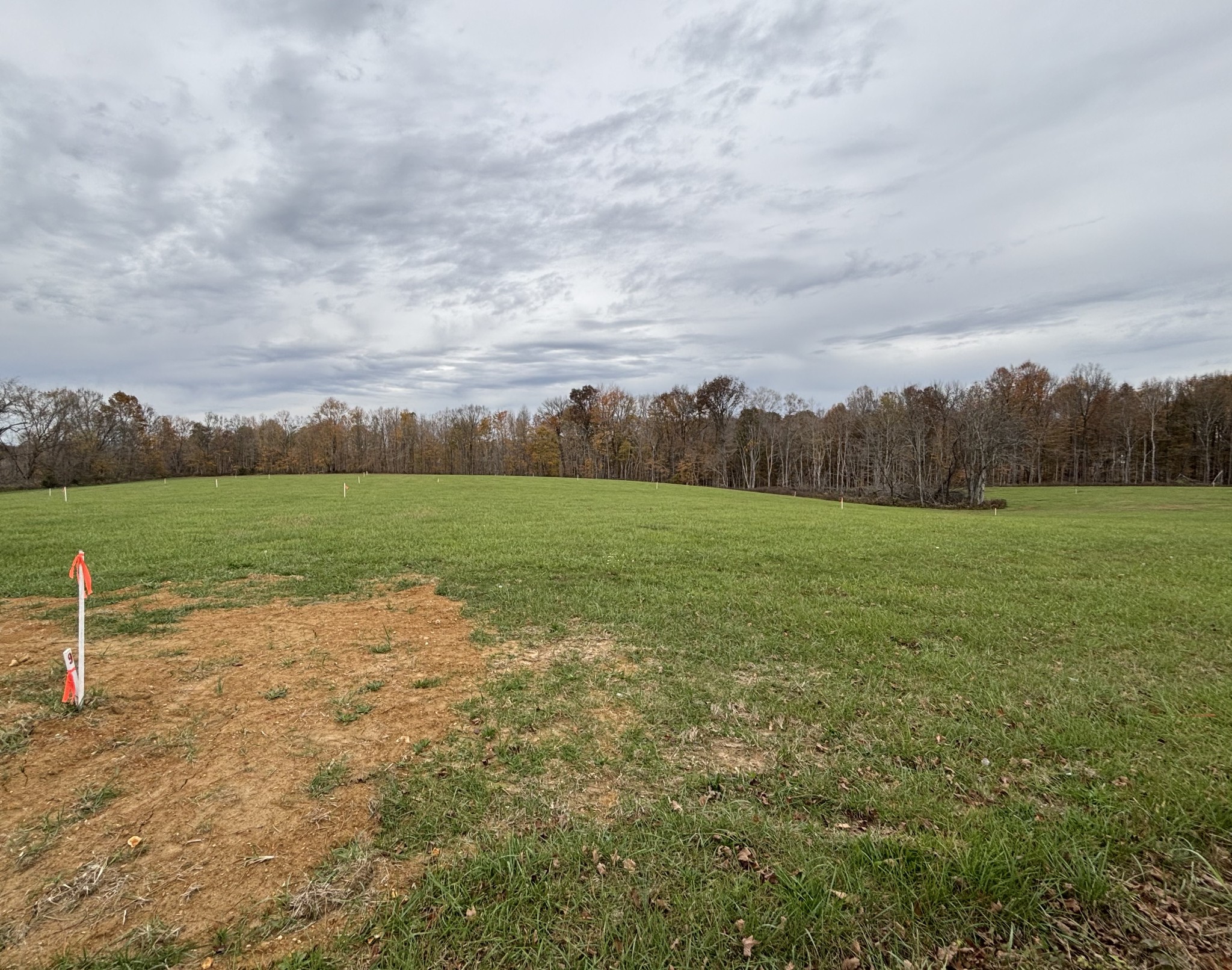 a view of a field with an trees in the background