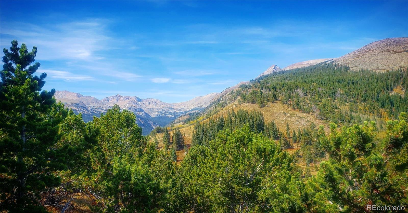 a view of a lake with a mountain in the background