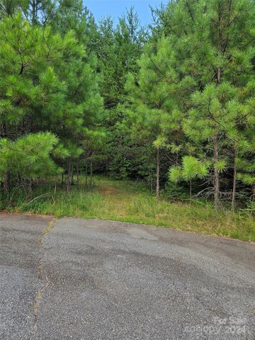 $62,000 | 0 Pumkin Patch Road, Unit NONE | Gilkey Township - Rutherford County