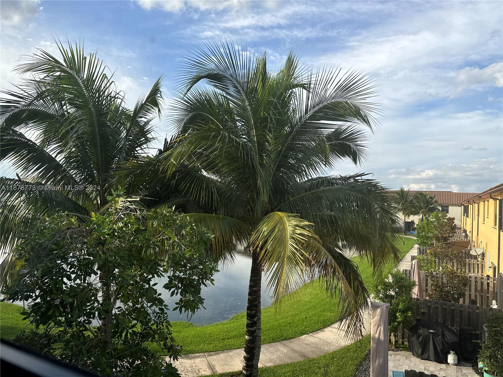 a view of three palm trees