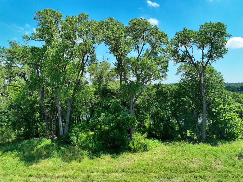 a view of yard with green space