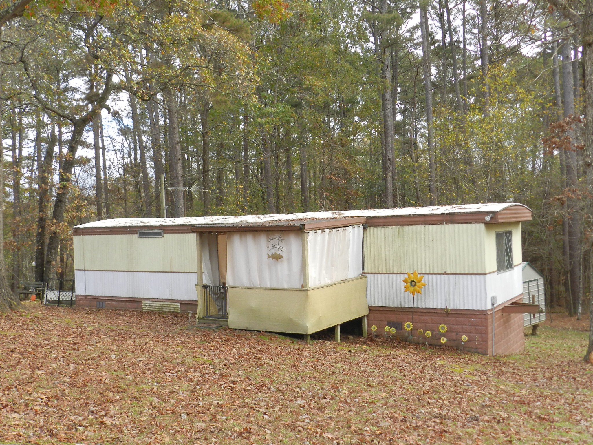 a view of a backyard