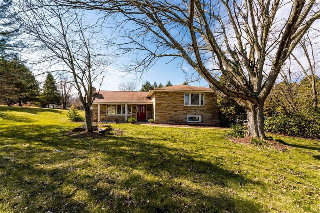 a view of a house with a large tree