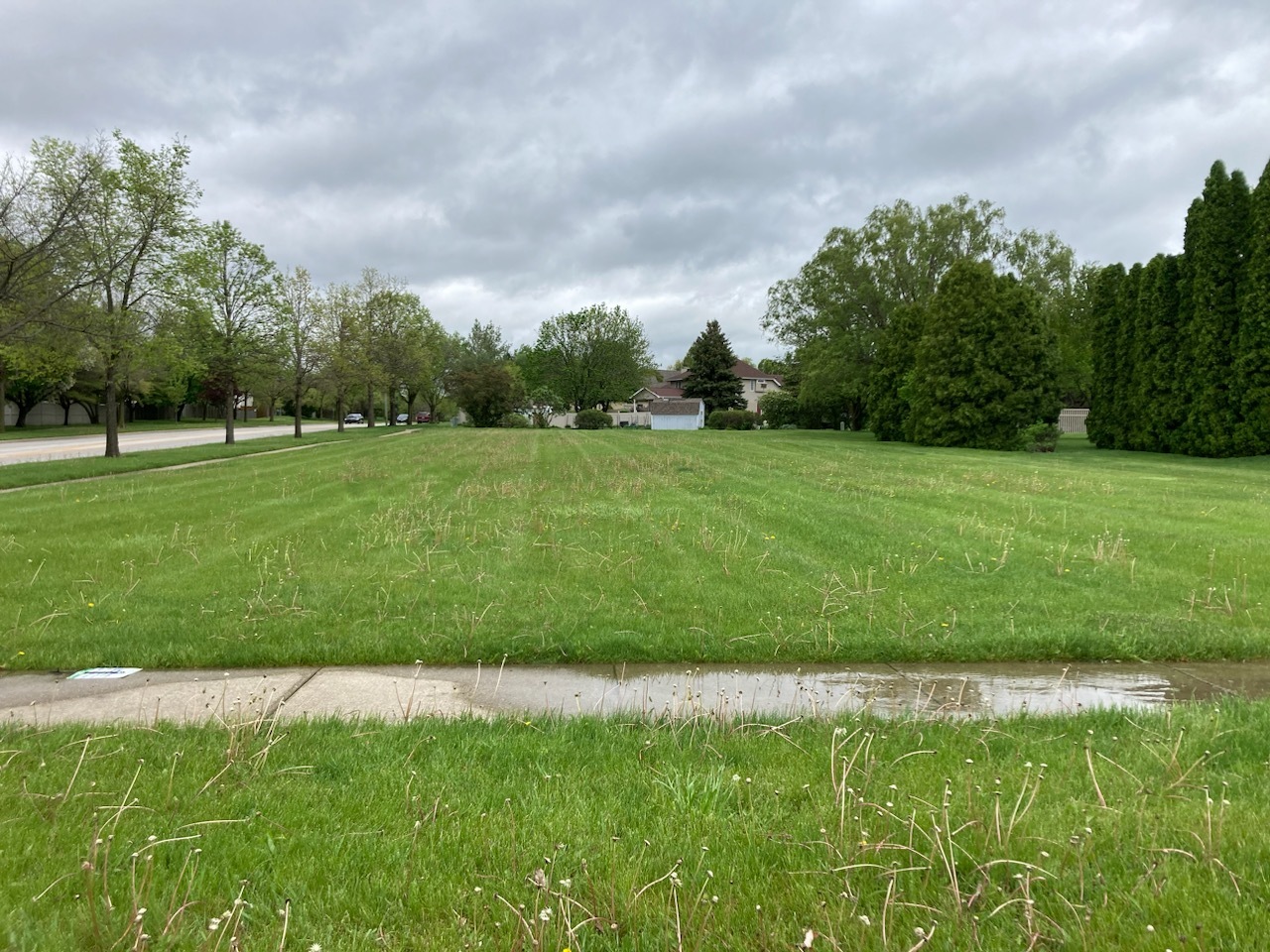 a view of a big yard with a large trees