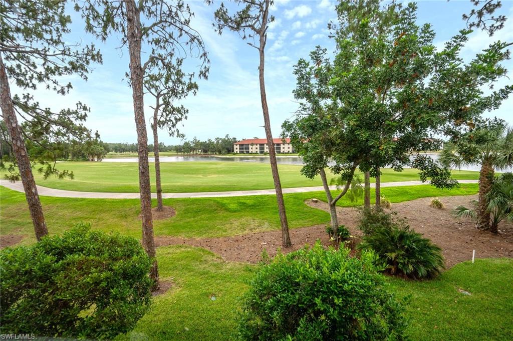 a view of a park with large trees