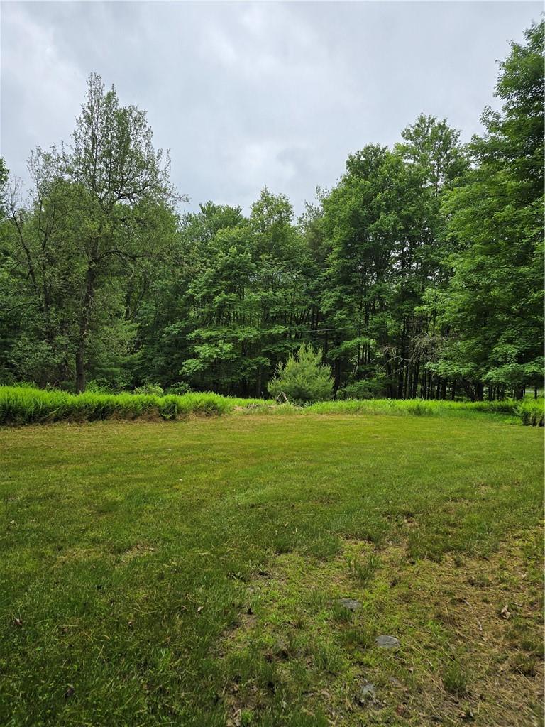 a view of yard with green space