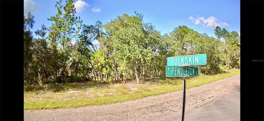 a street sign on a sidewalk next to a road