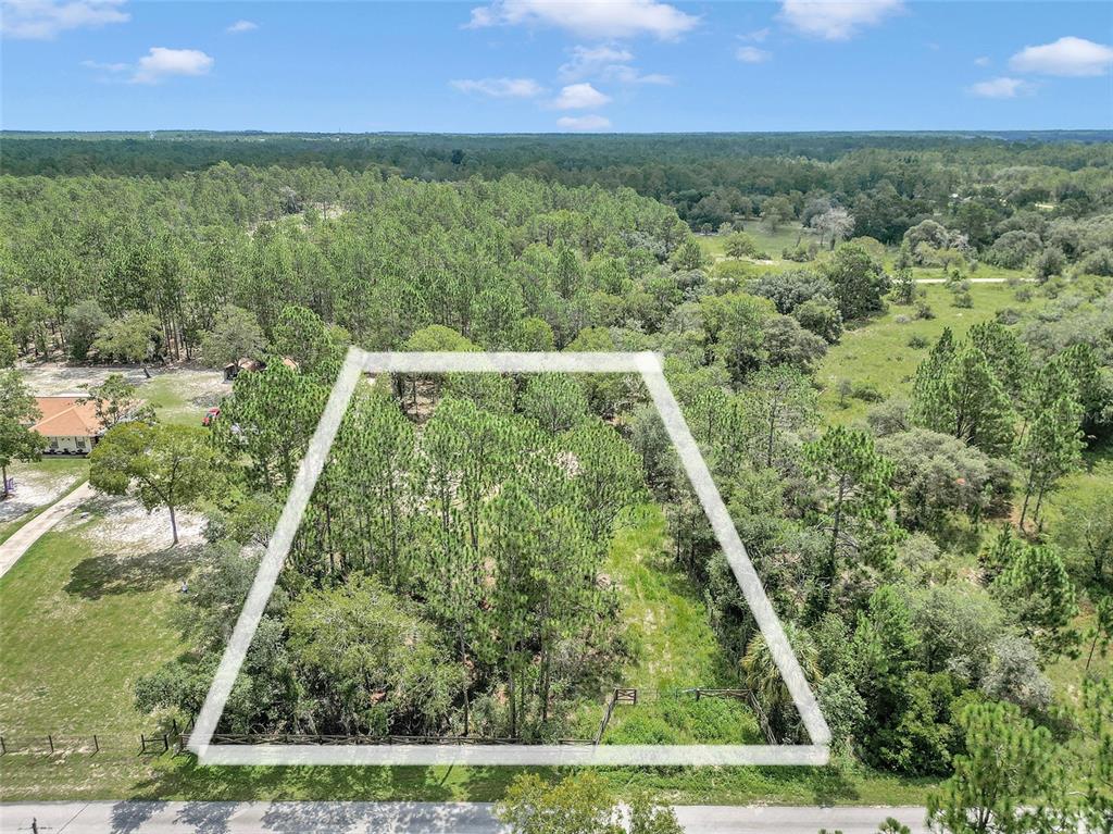 a view of yard with green space