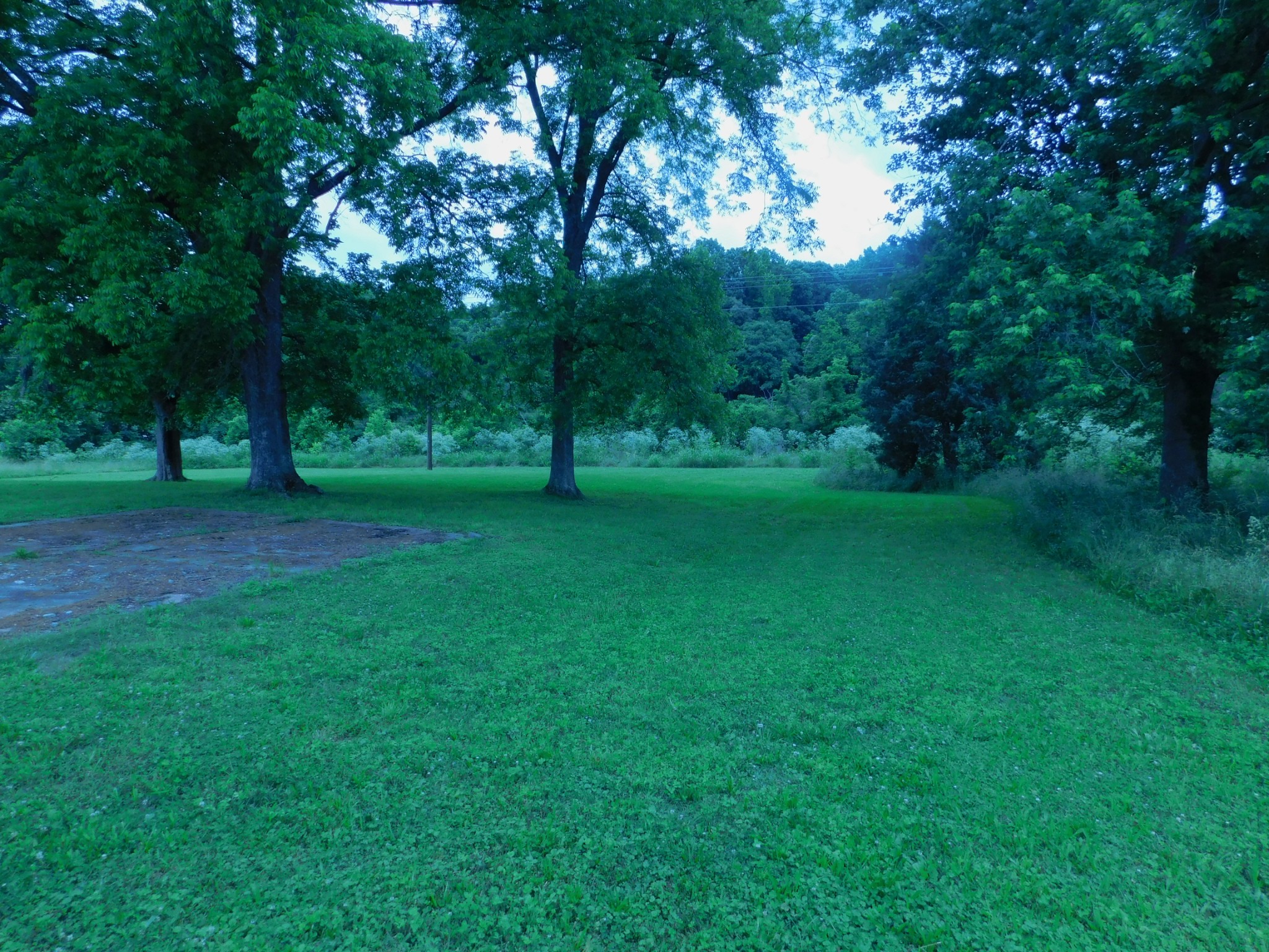 a view of a grassy field with trees in the background