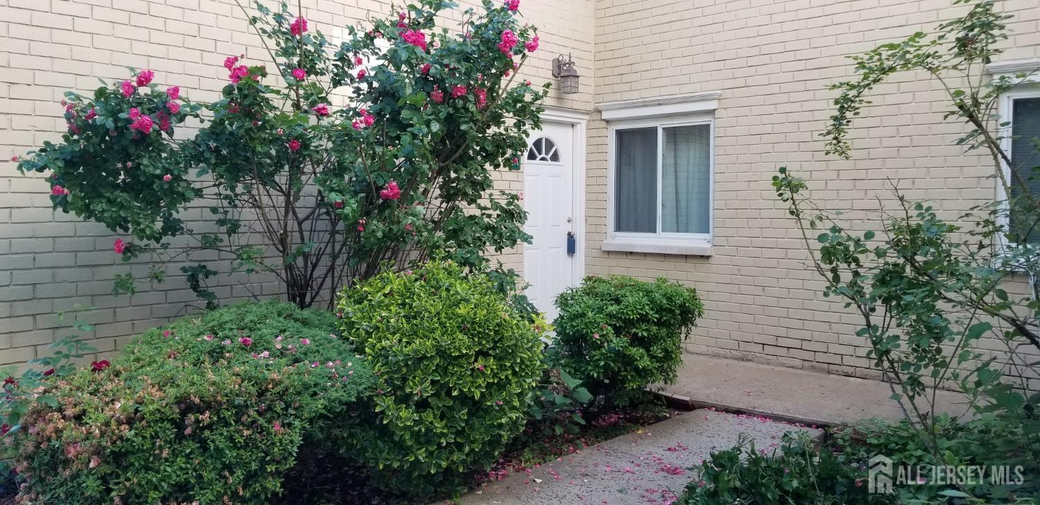 a flower plants sitting in front of a house