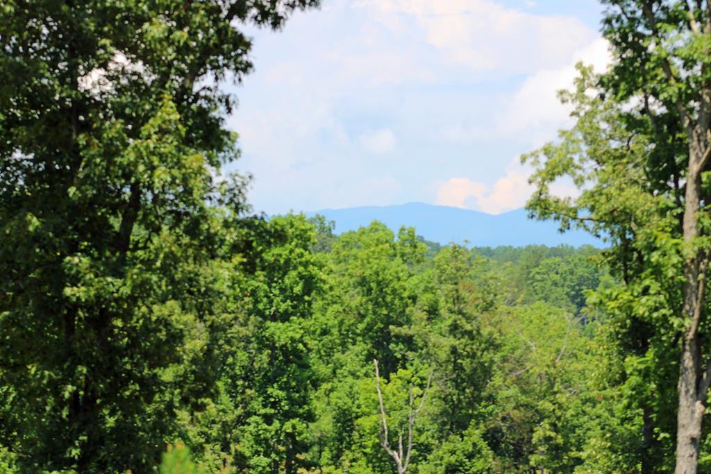 a view of a bunch of trees