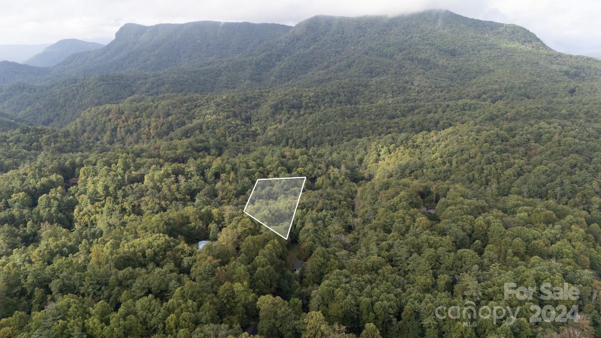 a view of a house with a mountain and yard