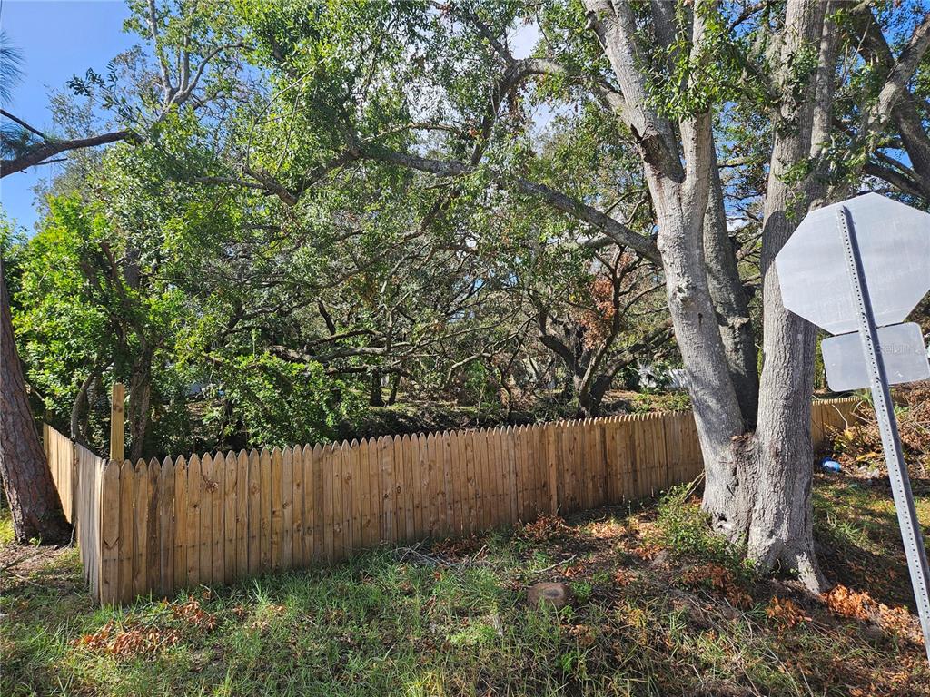 a view of a backyard