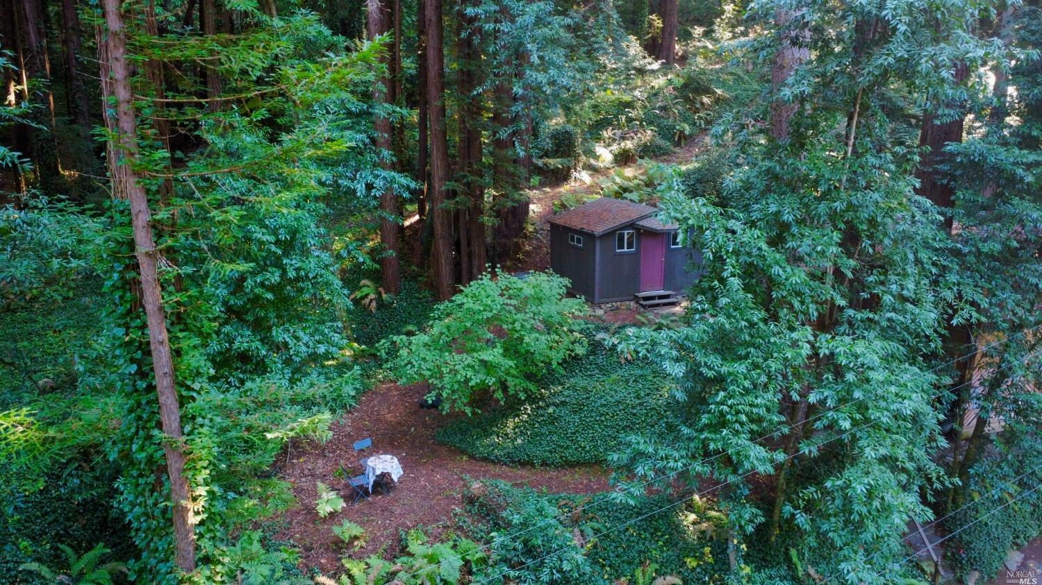 an aerial view of a house with a yard and large trees