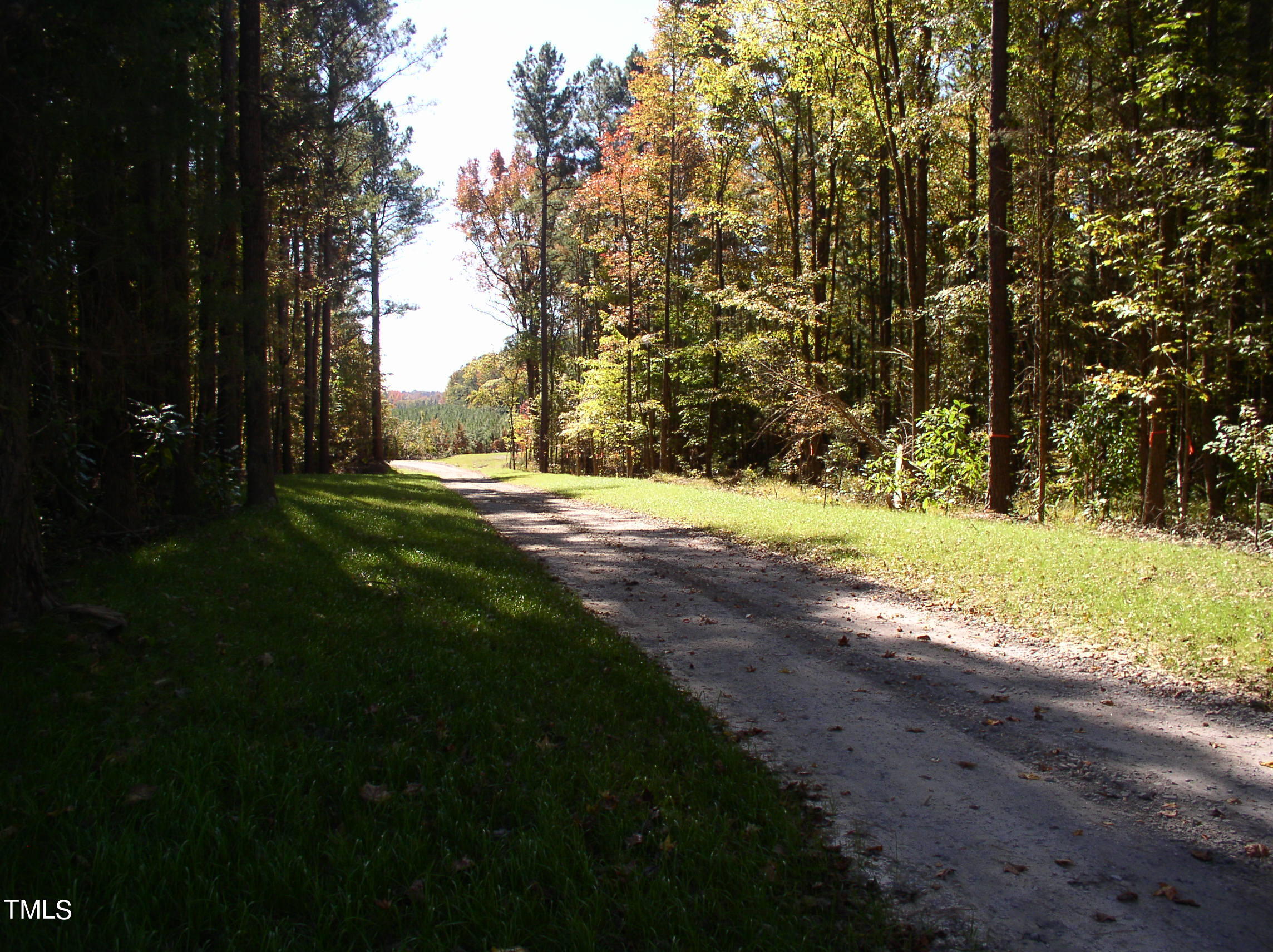 a view of a yard with large trees