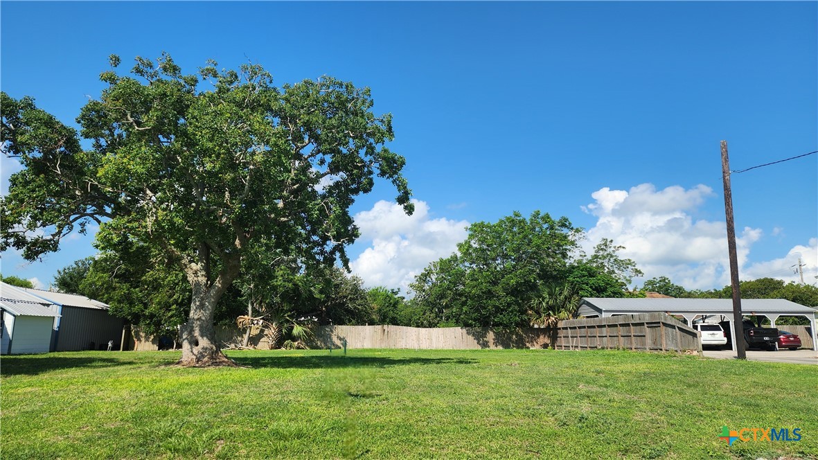 a view of a park with large trees