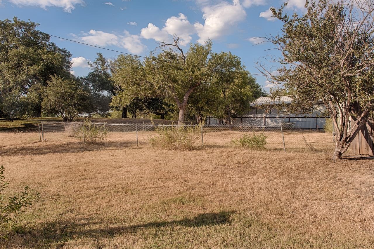 a view of a yard with large trees