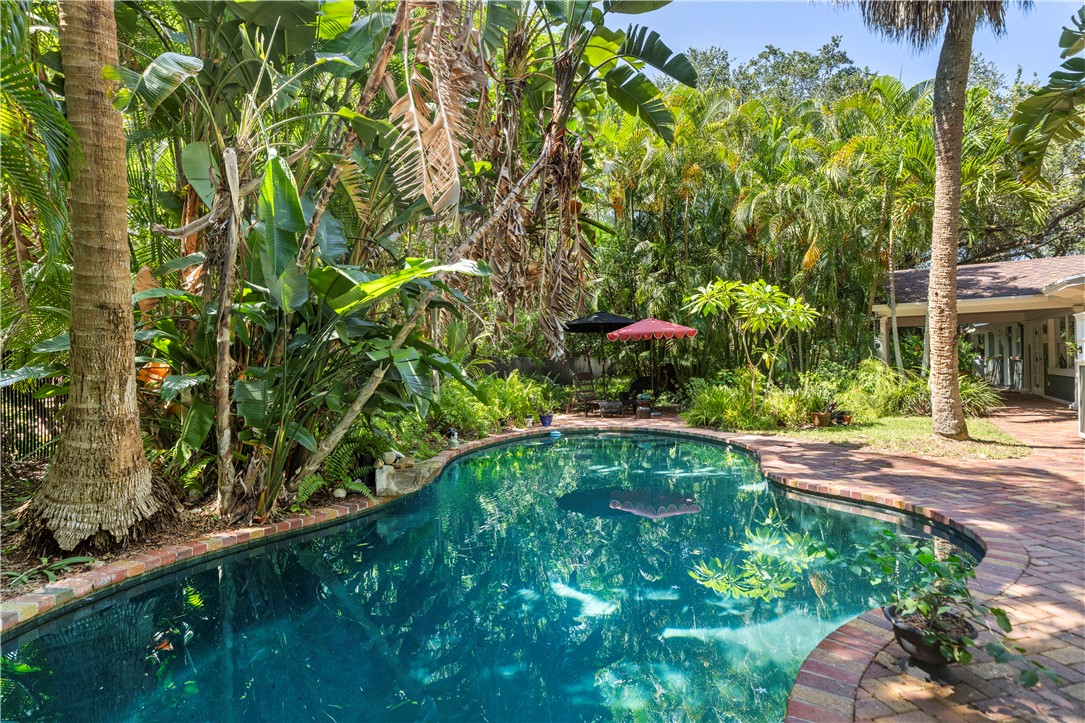 a view of a garden with plants