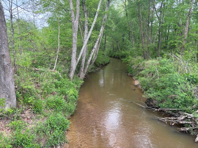 a view of a water pond with green trees