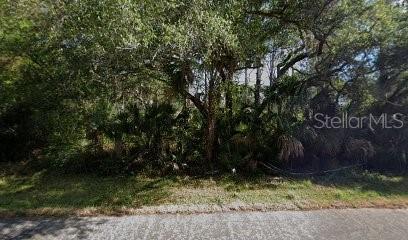 a view of a yard with large trees