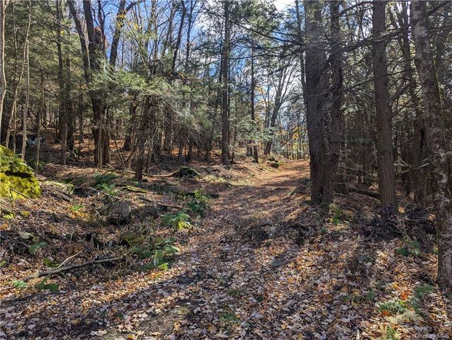 $75,000 | Lyman Todd Drive | Hardenburgh