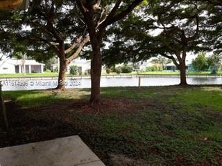 a view of yard with tree