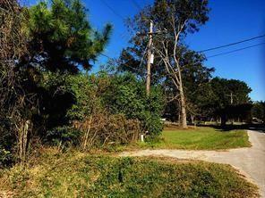 a view of yard with green space