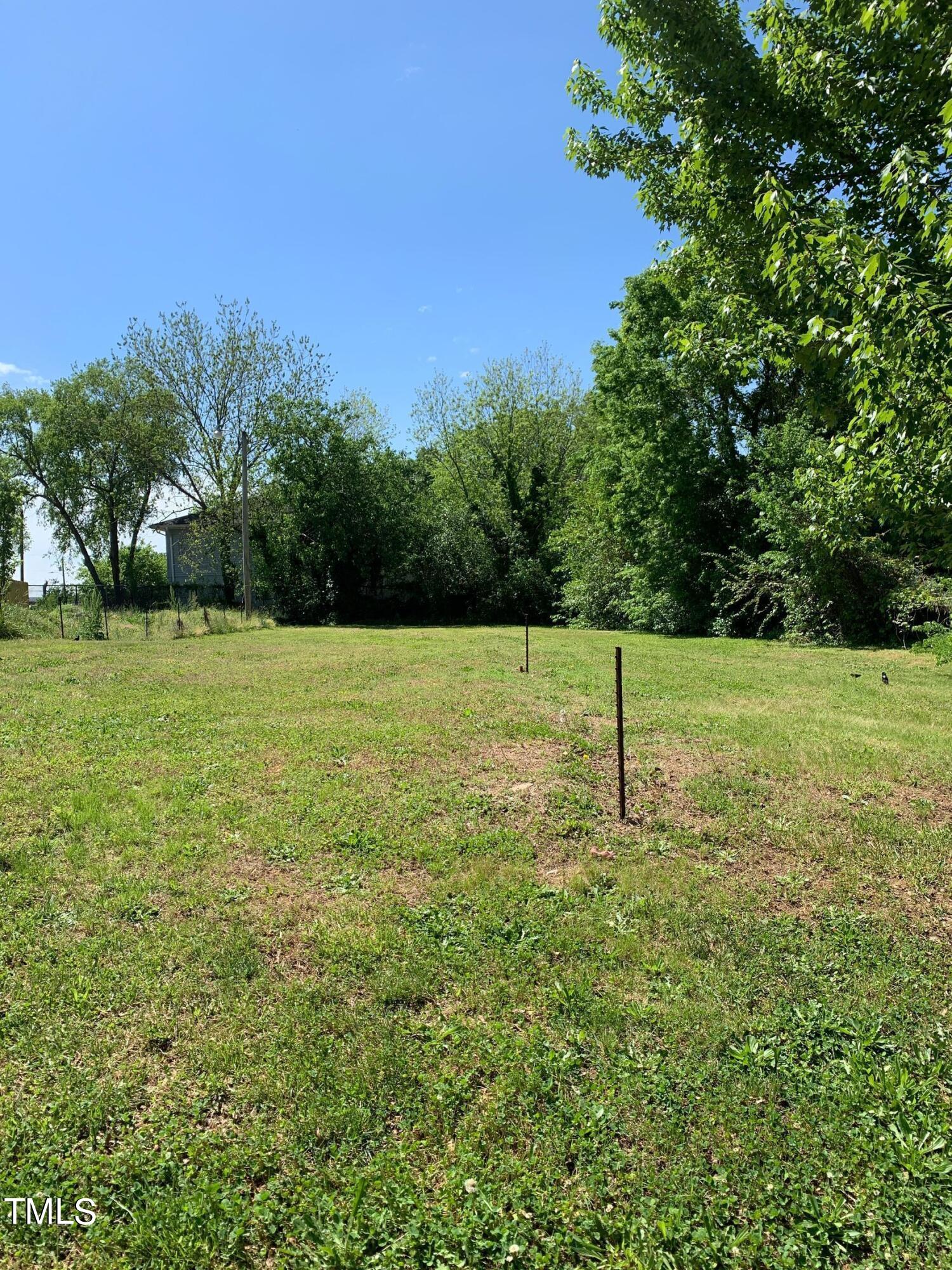 a view of a field with a tree in the background