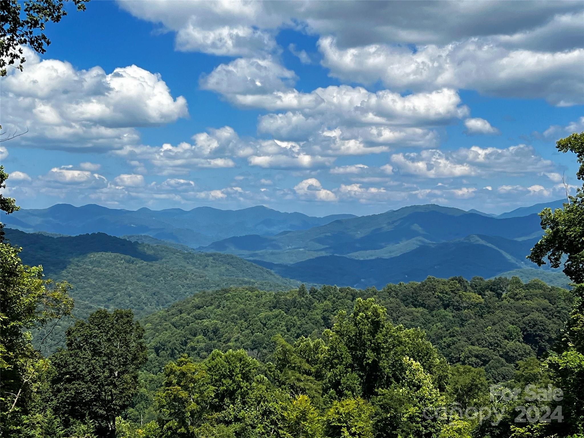 a view of a bunch of trees