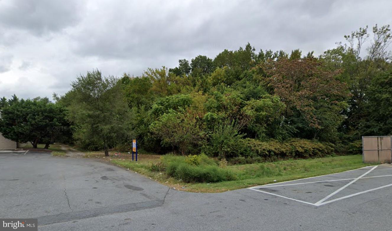 a view of a field of grass and trees