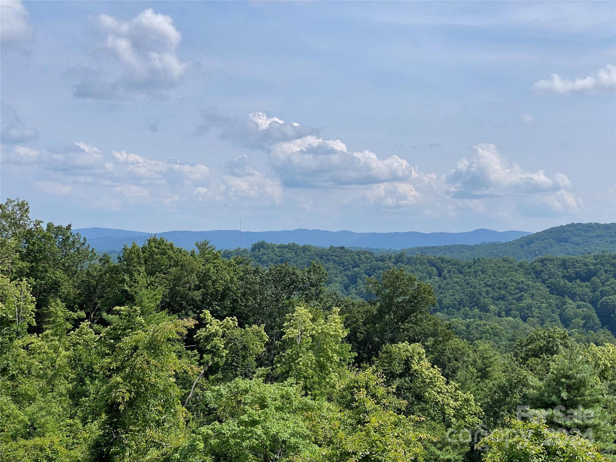 a view of a bunch of trees in background