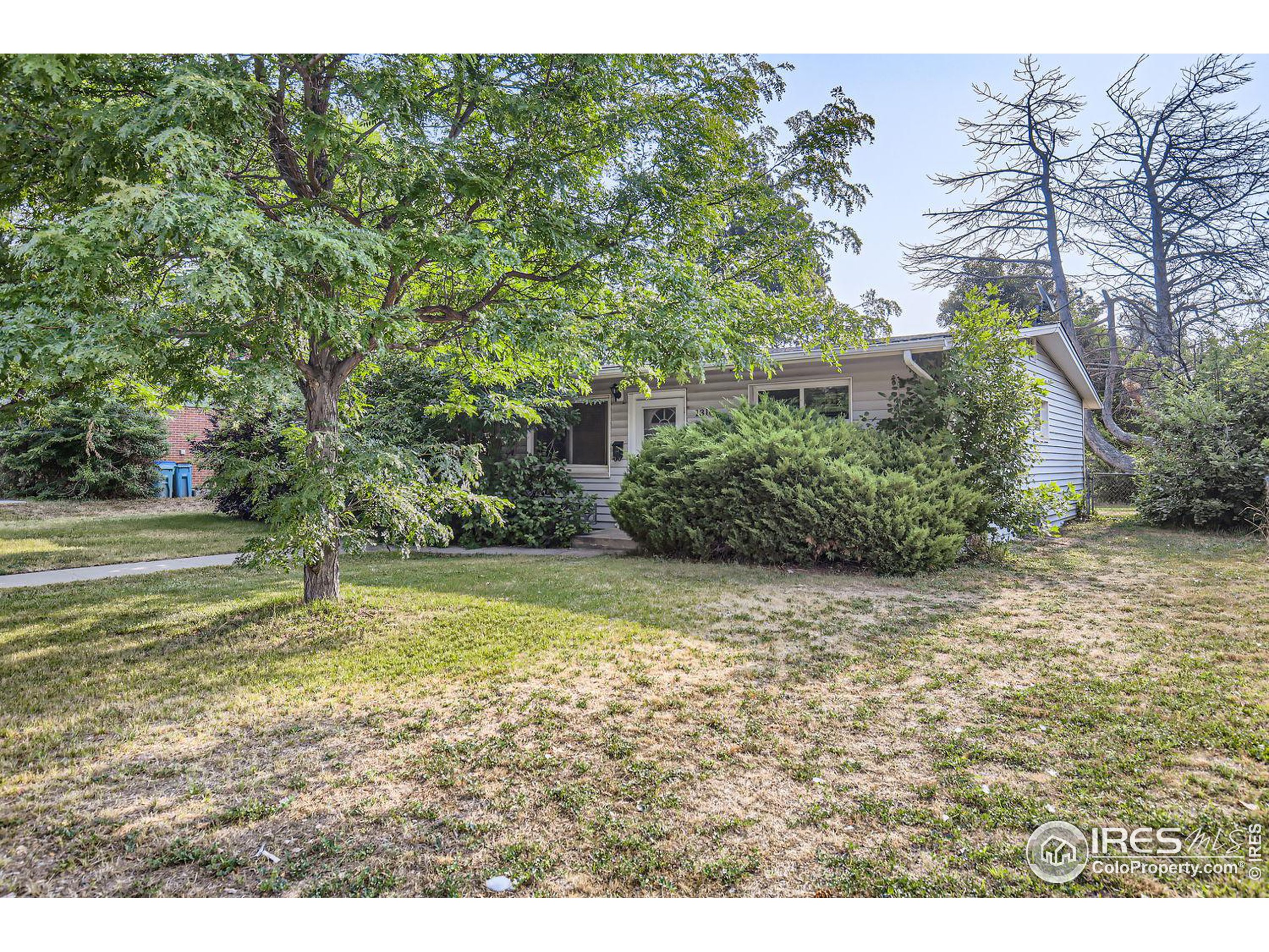 a view of a yard with an trees