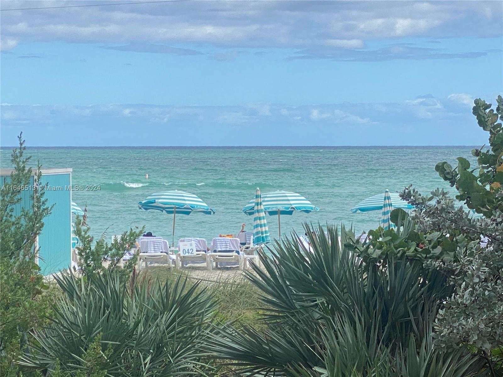 Carillon Miami Beach is an oceanfront gem!