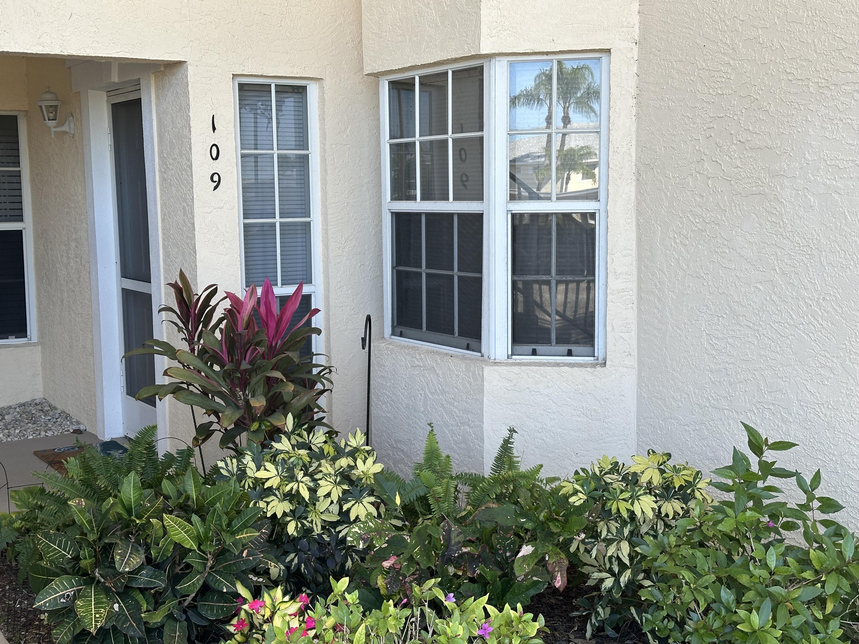 a flower plants in front of door