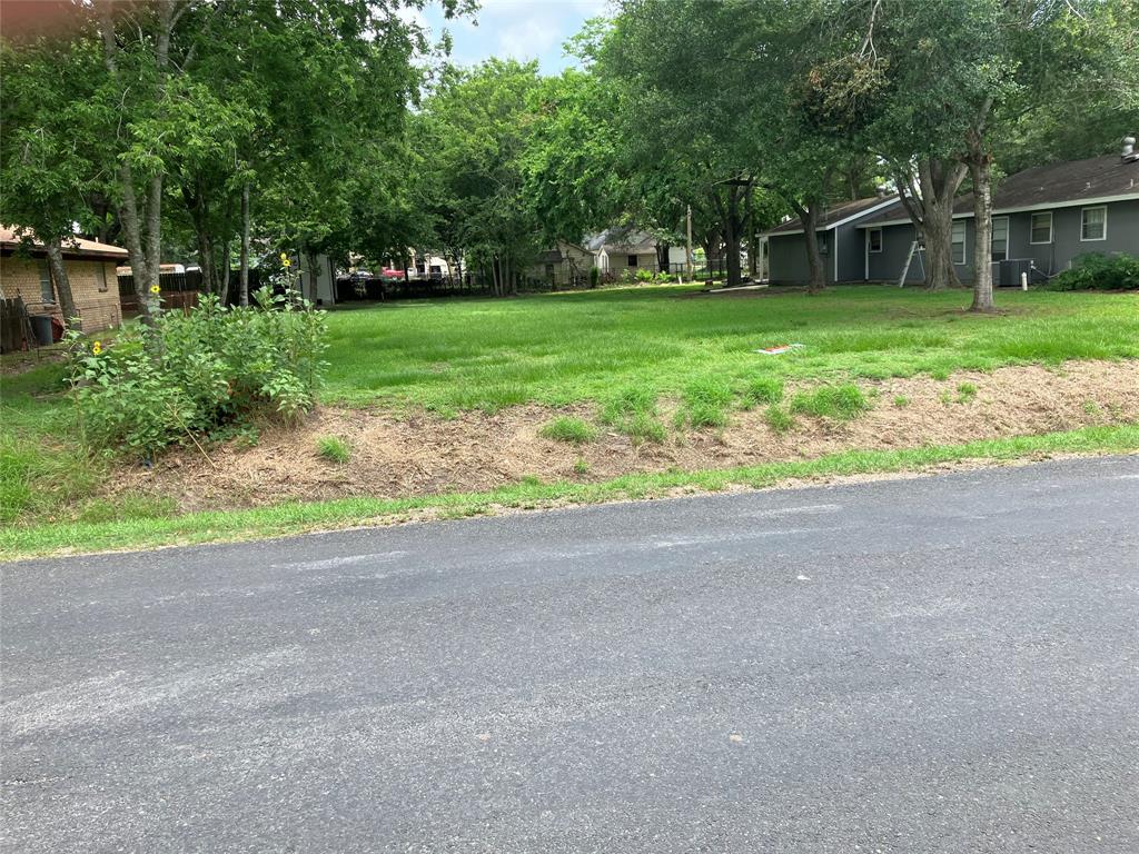 a view of a yard with plants and trees